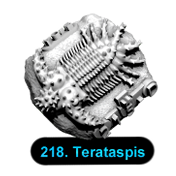No.218 Terataspis