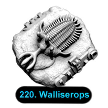 No.220 Walliserops