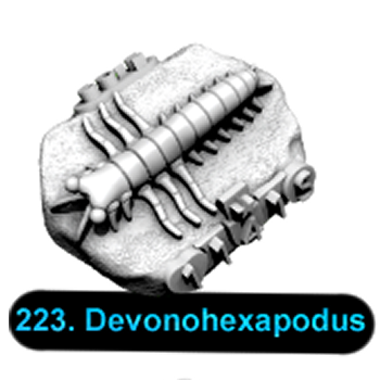 No.223 Devonohexapodus