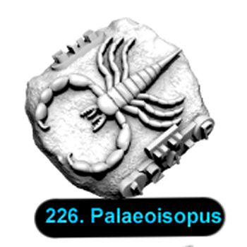 No.226 Palaeoisopus