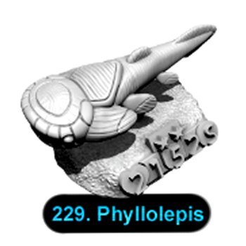 No.229 Phyllolepis