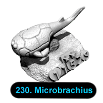 No.230 Microbrachius