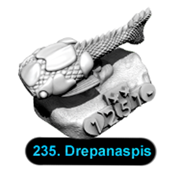 No.235 Drepanaspis
