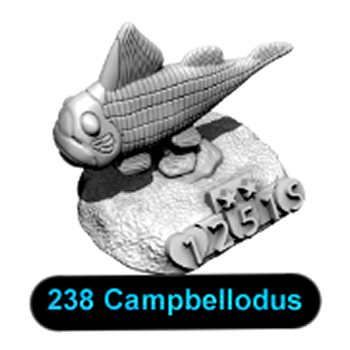 No.238 Campbellodus