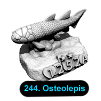 No.244 Osteolepis
