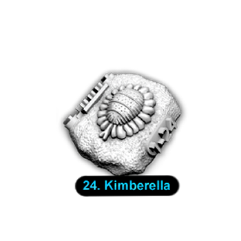 No.024 Kimberella