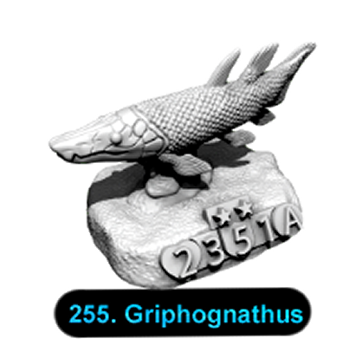 No.255 Griphognathus