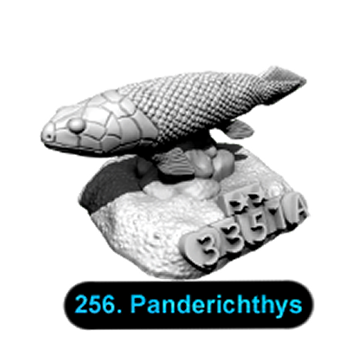 No.256 Panderichthys