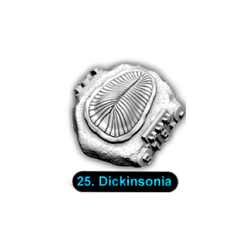 No.025 Dickinsonia