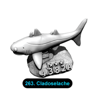 No.263 Cladoselache
