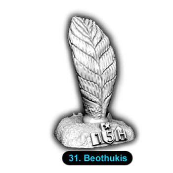 No.031 Beothukis