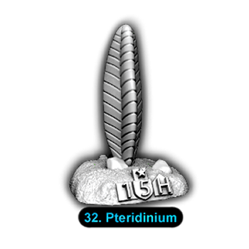 No.032 Pteridinium