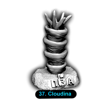 No.037 Cloudina