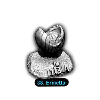 No.038 Ernietta