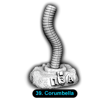 No.039 Corumbella