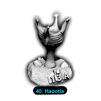 No.040 Haootia