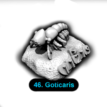 No.046 Goticaris