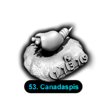 No.053 Canadaspis