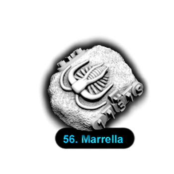 No.056 Marrella