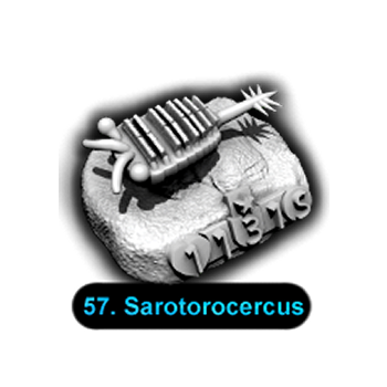 No.057 Sarotorocercus