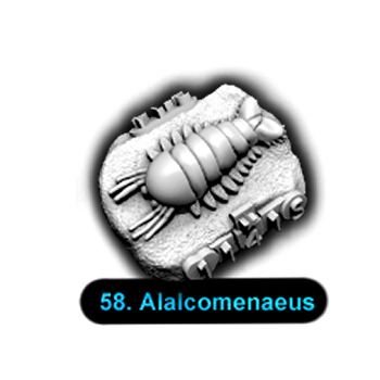 No.058 Alalcomenaeus