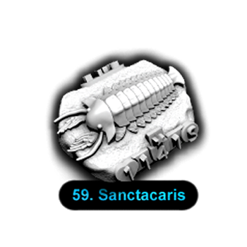 No.059 Sanctacaris