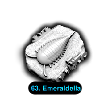 No.063 Emeraldella