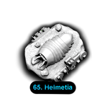 No.065 Helmetia