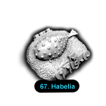 No.067 Habelia