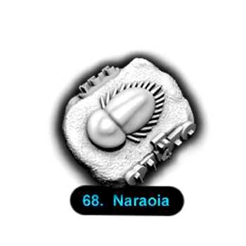 No.068 Naraoia