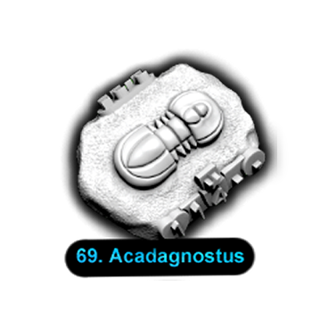 No.069 Acadagnostus