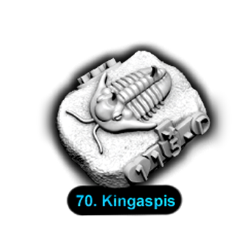 No.070 Kingaspis