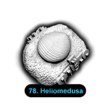 No.078 Heliomedusa