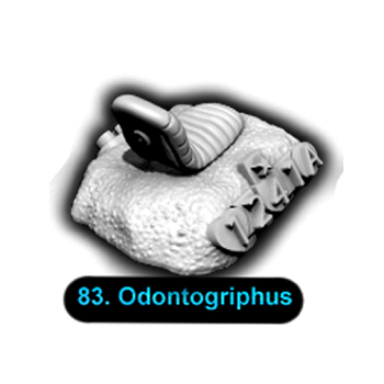 No.083 Odontogriphus