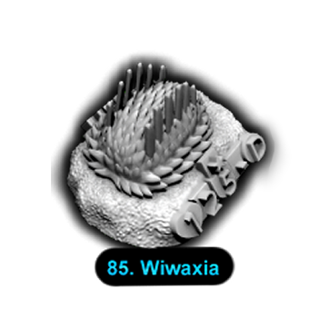 No.085 Wiwaxia