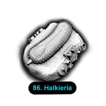 No.086 Halkieria