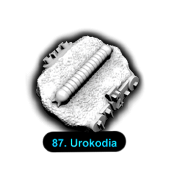 No.087 Urokodia