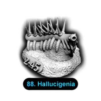 No.088 Hallucigenia
