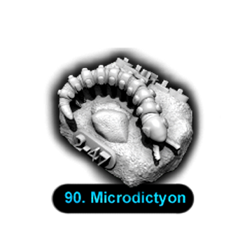 No.090 Microdictyon