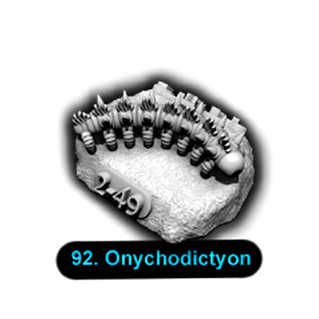 No.092 Onychodictyon