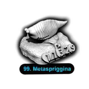 No.099 Metaspriggina